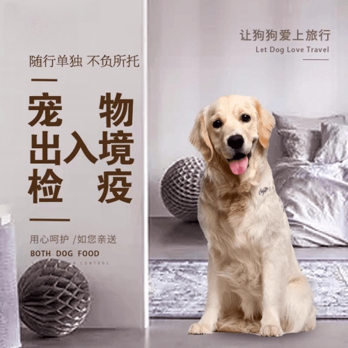 锡林郭勒盟宠物托运到哥伦比亚猫狗宠物入境规定和