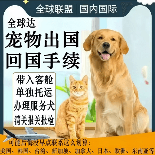 锡林郭勒盟宠物托运到柬埔寨宠物入境规定和要求