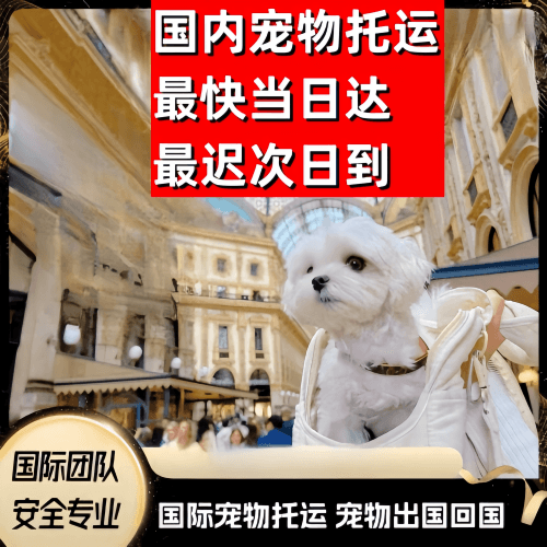 锡林郭勒盟到澳大利亚（澳洲）宠物入境规定和要求
